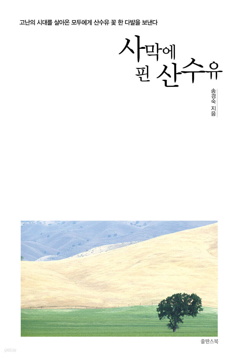 사막에 핀 산수유