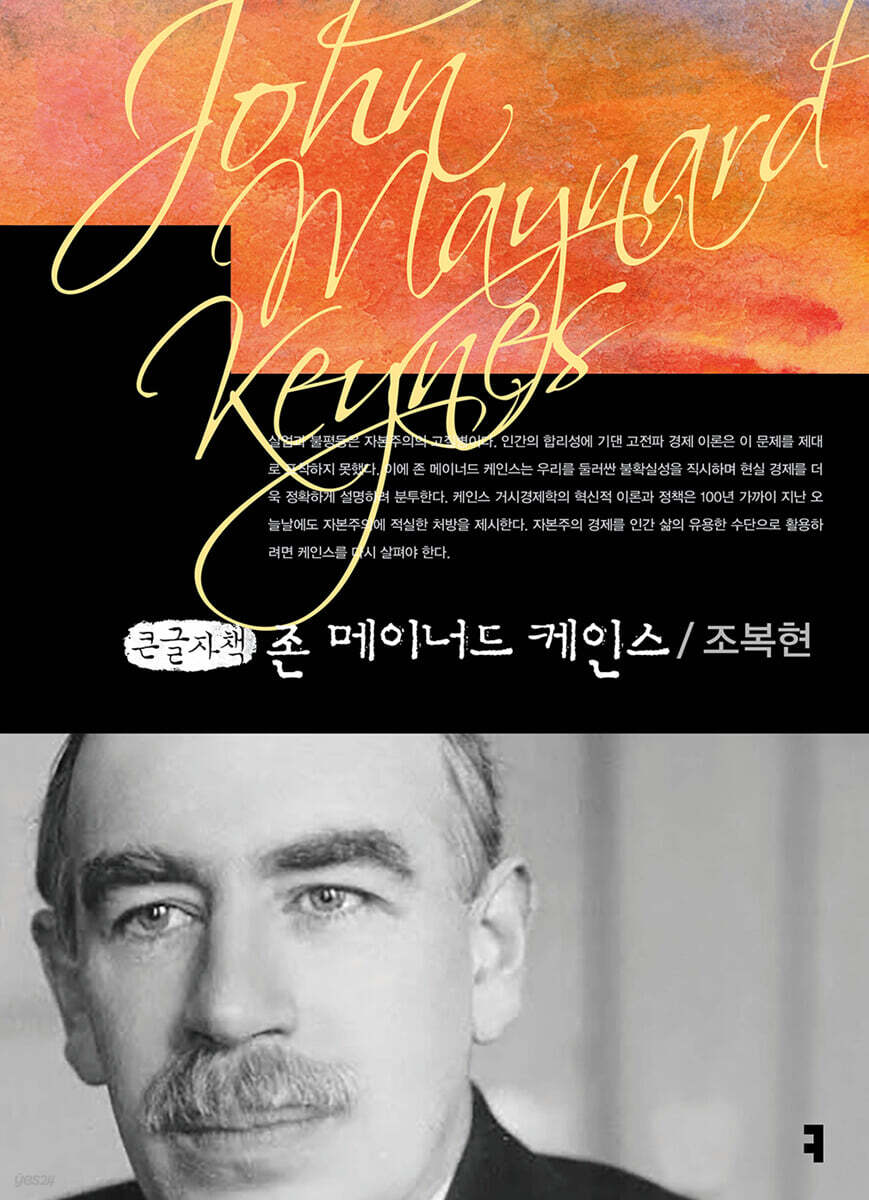 존 메이너드 케인스 (큰글자책)