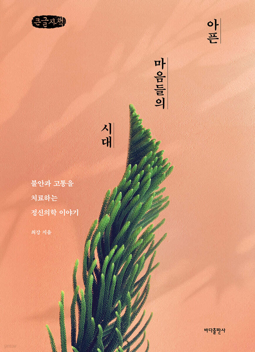 아픈 마음들의 시대 (큰글자책)