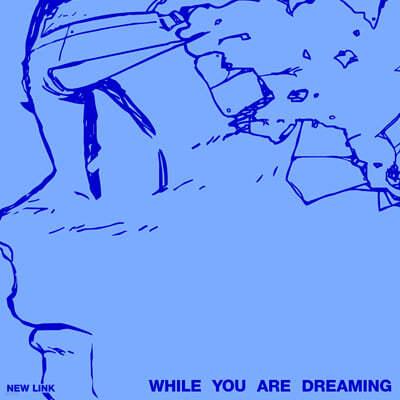 New Link (ũ) - 1 : While You Are Dreaming