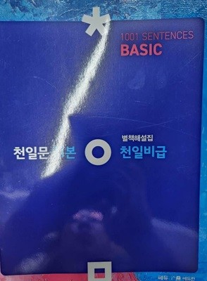 천일문 기본 BASIC 천일비급 별책해설집