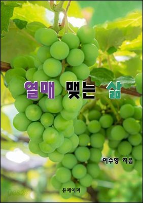 열매 맺는 삶