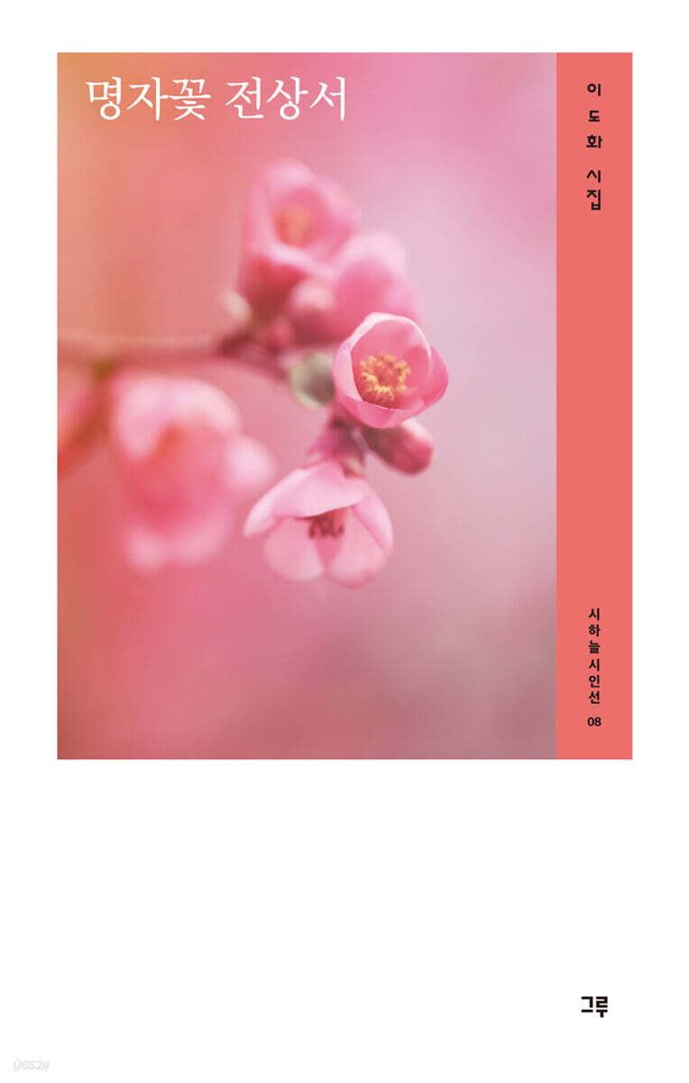 명자꽃 전상서