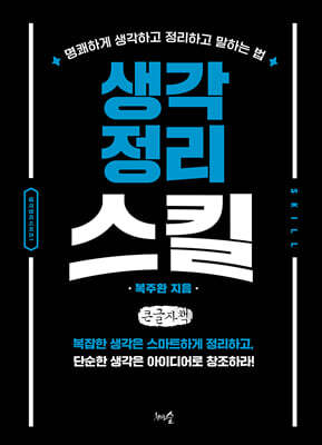 생각정리 스킬 (큰글자책)