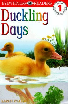 Duckling Days