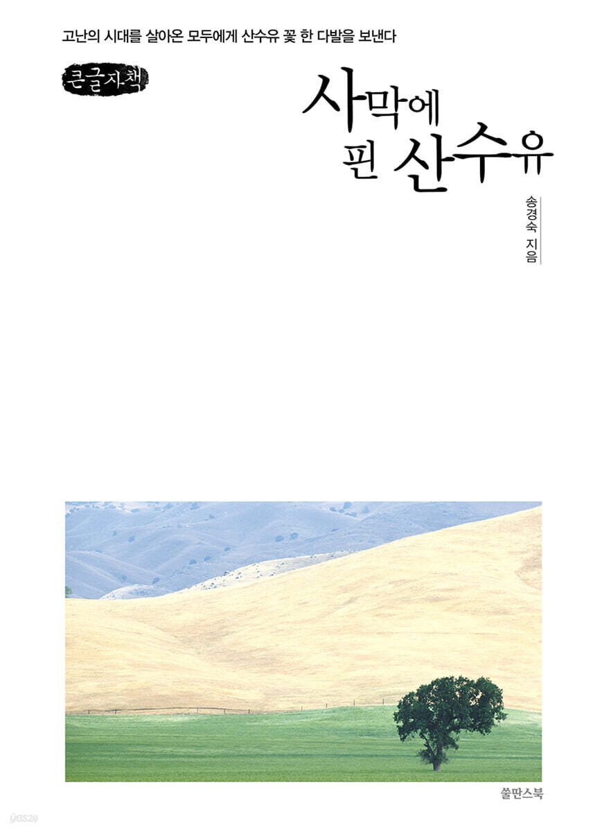 사막에 핀 산수유 (큰글자책)