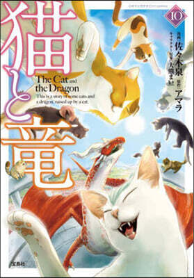 猫と龍  10
