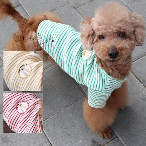 강아지 봄 옷 토끼 줄무늬 스트라이프 반팔 티셔츠
