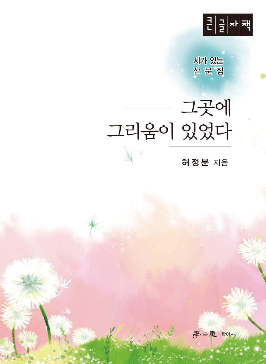 그곳에 그리움이 있었다 (큰글자책)