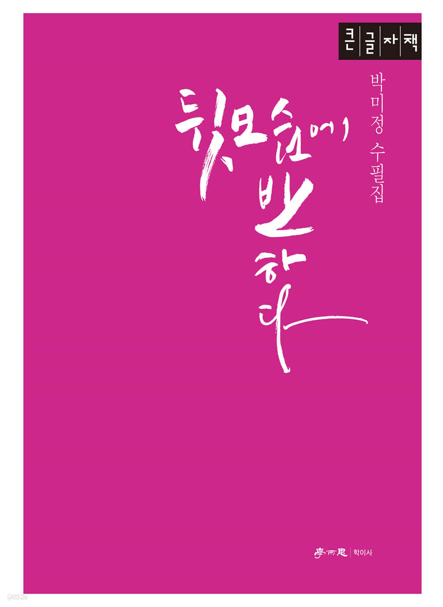 뒷모습에 반하다 (큰글자책)