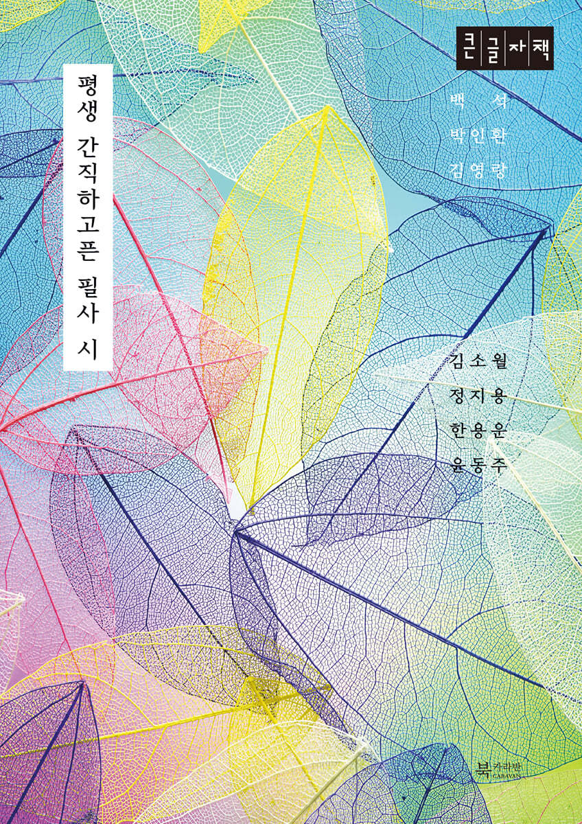 평생 간직하고픈 필사 시 (큰글자책)