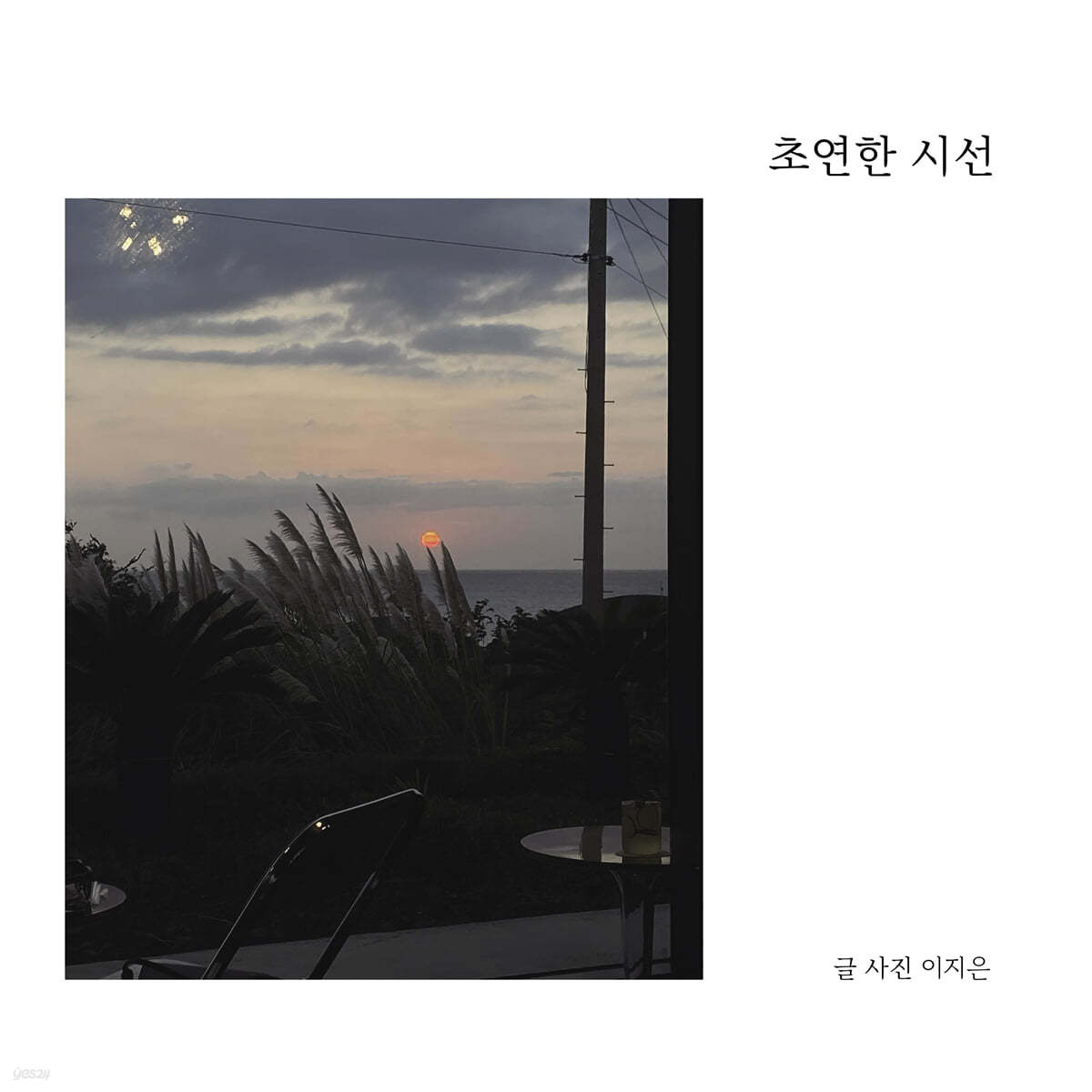 초연한 시선