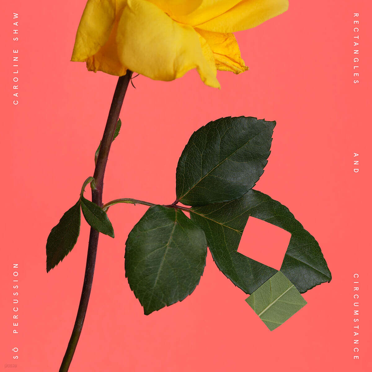 Caroline Shaw & So Percussion (캐롤리안 쇼 & 소 퍼커션) - Rectangles and Circumstance