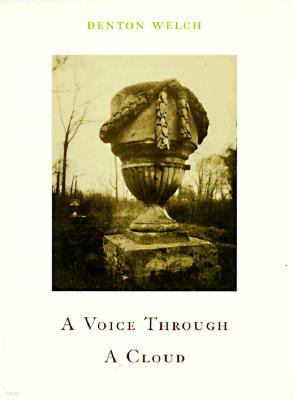 A Voice Through a Cloud