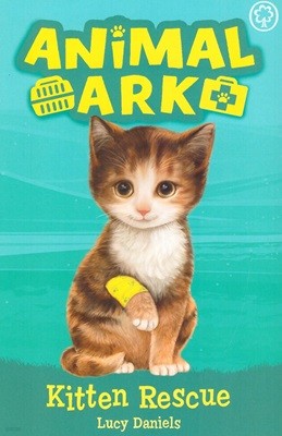 Animal Ark: Kitten Rescue (Paperback)