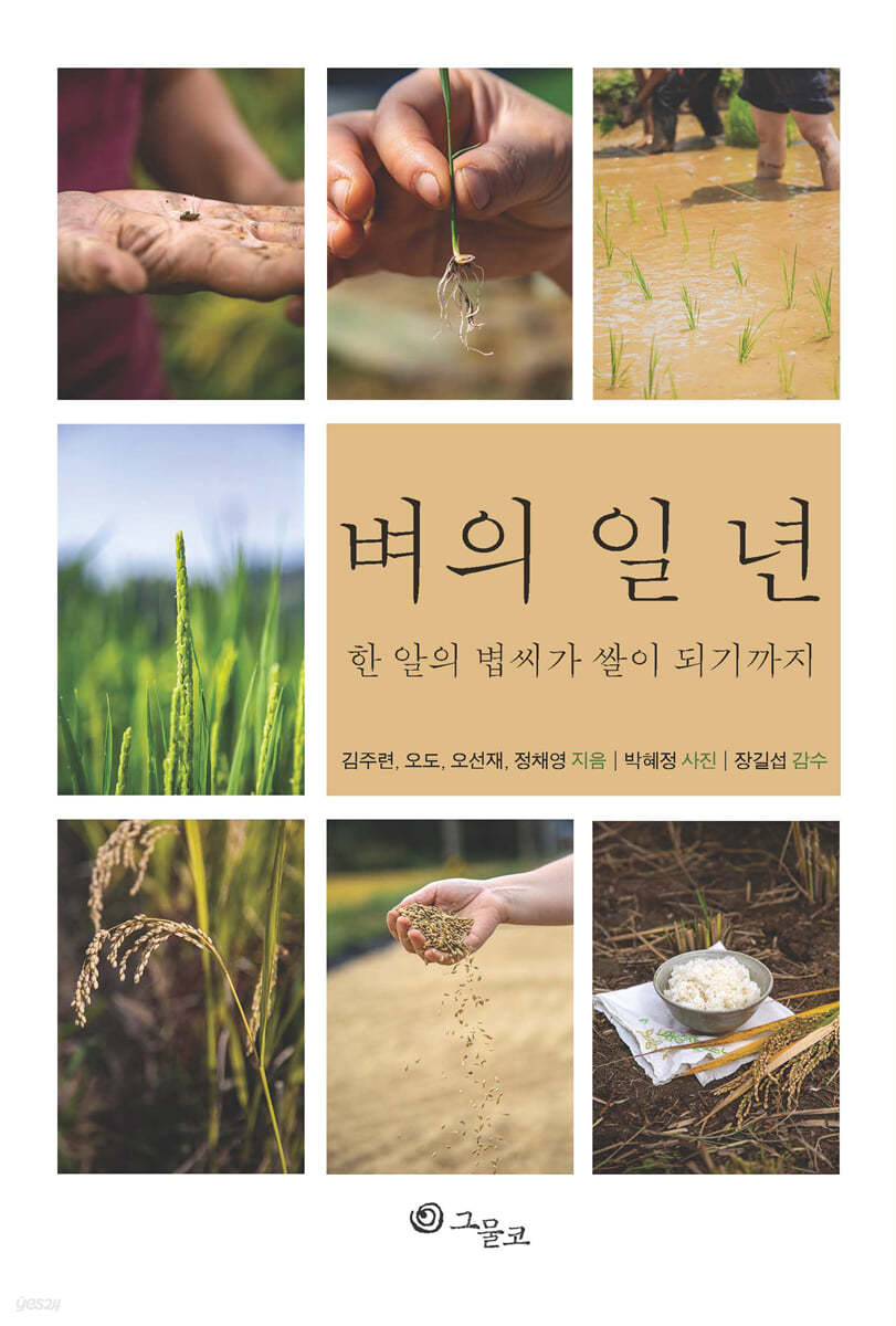 벼의 일 년
