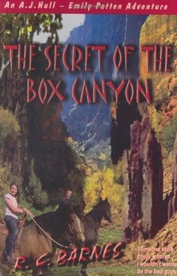 The Secret of the Box Canyon (Paperback)
