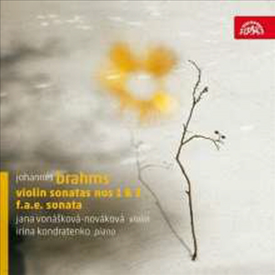 : ̿ø ҳŸ 1 & 3 (Brahms: Violin Sonatas Nos.1 & 3)(CD) - Jana Vonaskova-Novakova