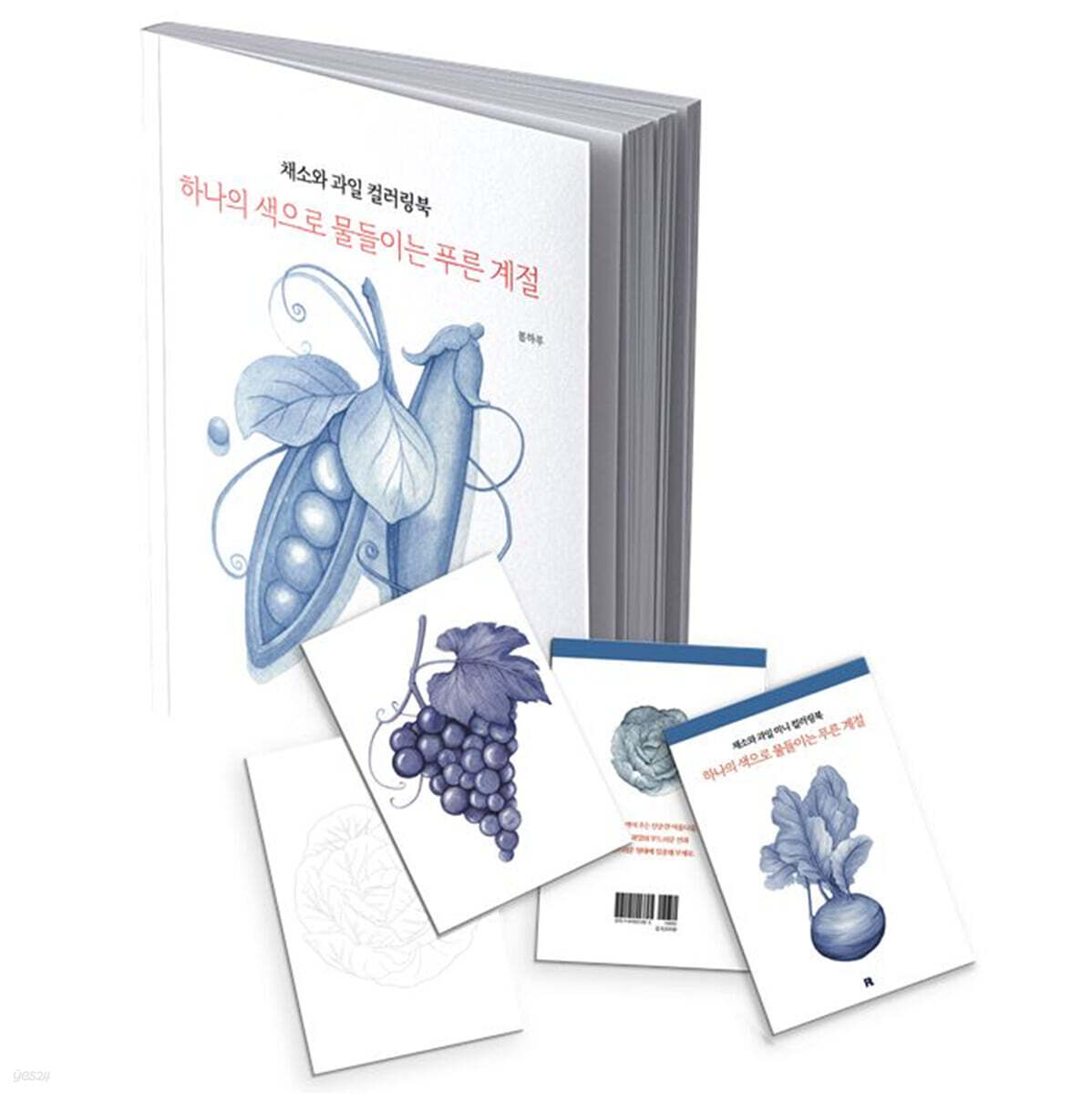 채소와 과일 컬러링북 엽서 도안 세트