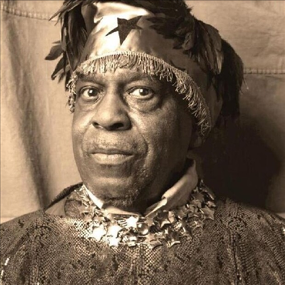 Sun Ra - Inside The Light World: Sun Ra Meets The OVC (CD)