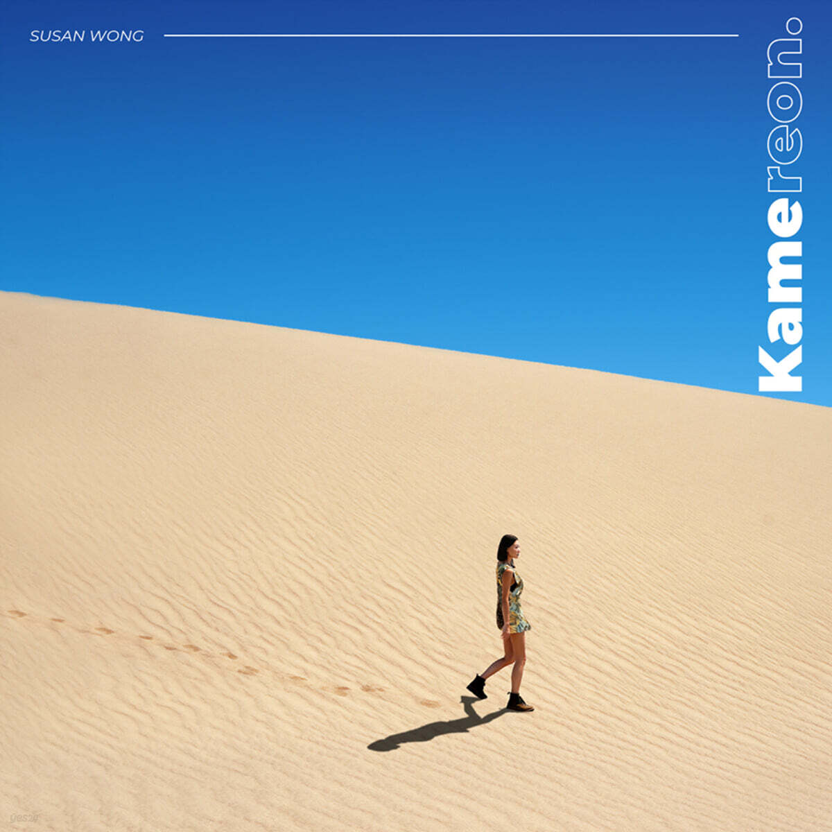Susan Wong (수잔 웡) - Kamereon [LP]