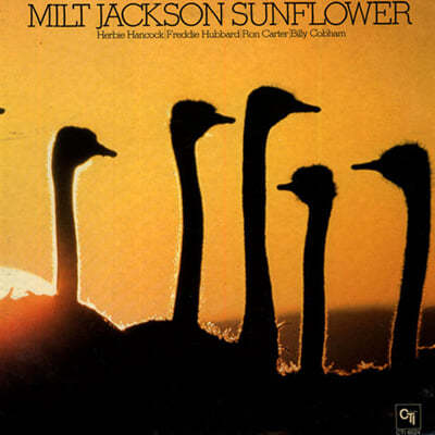 Milt Jackson (밀트 잭슨) - Sunflower [LP] 