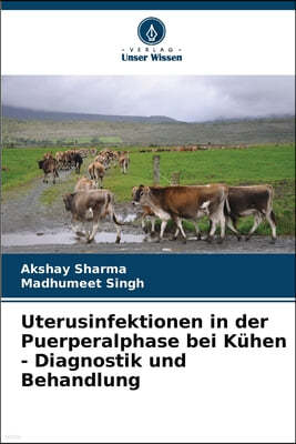 Uterusinfektionen in der Puerperalphase bei Kühen - Diagnostik und Behandlung