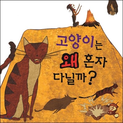 고양이는 왜 혼자 다닐까?