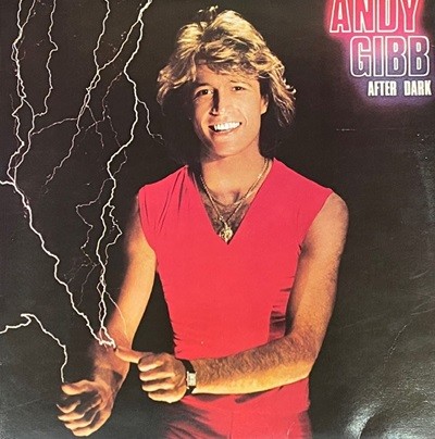 [LP] 앤디 깁 - Andy Gibb - After Dark LP [성음-라이센스반]