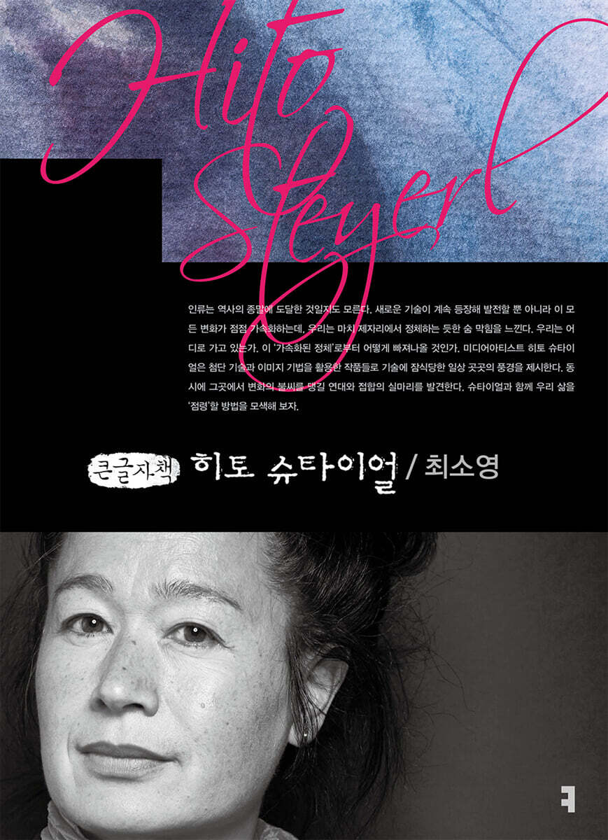 히토 슈타이얼 (큰글자책)