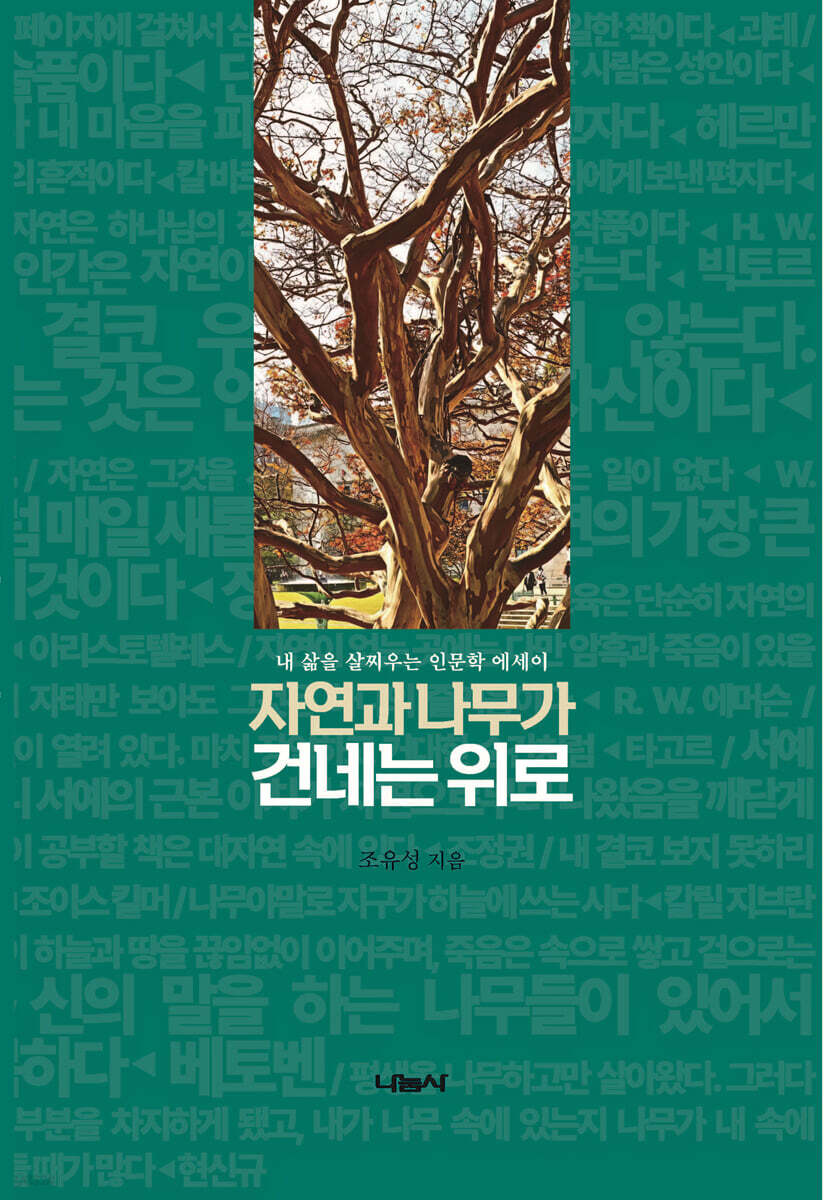자연과 나무가 건네는 위로