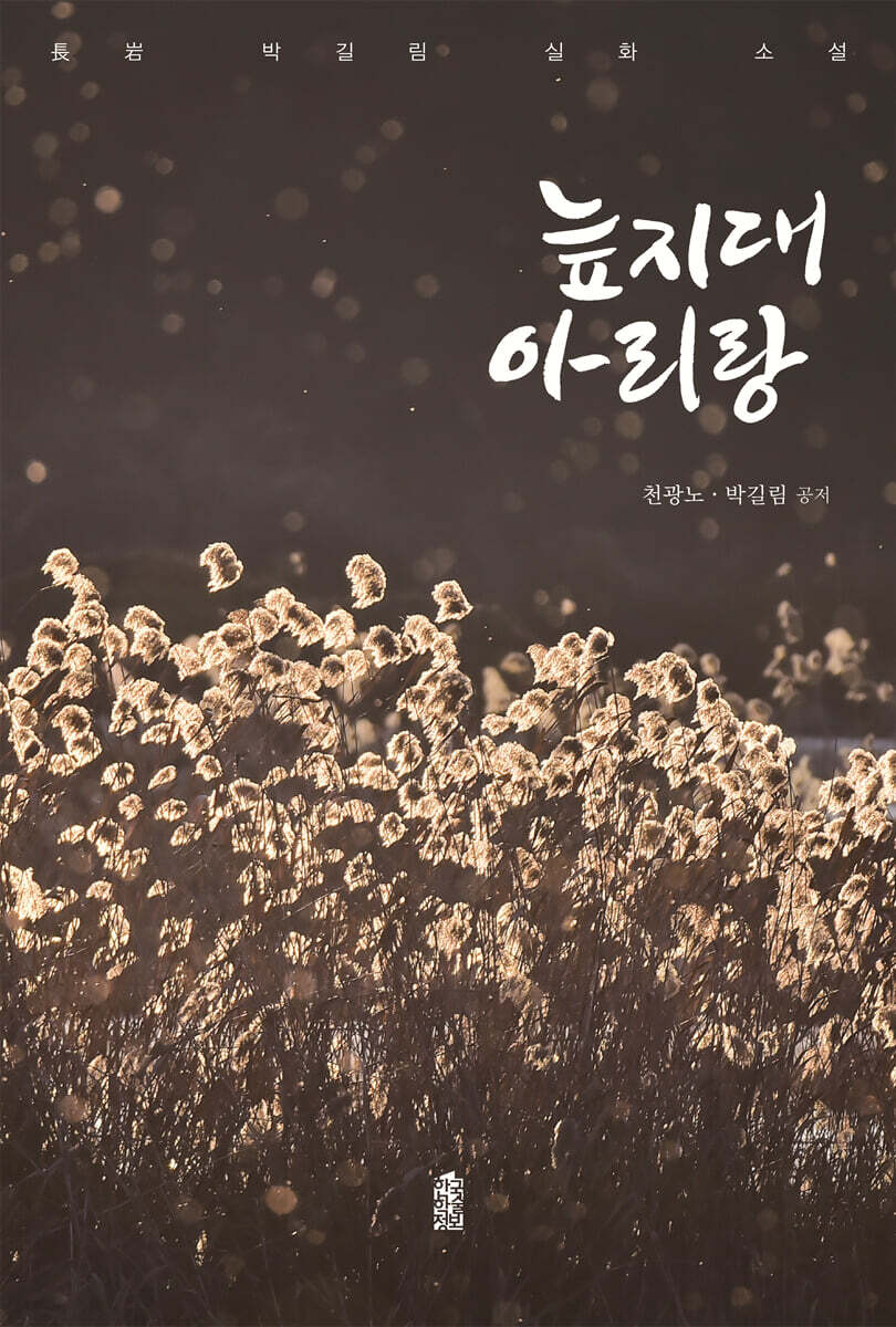 [전자책] 늪지대 아리랑 - 예스24