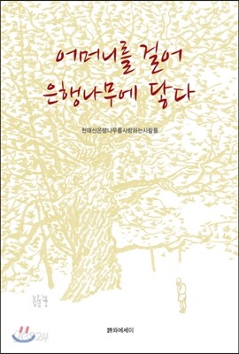 어머니를 걸어 은행나무에 닿다