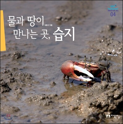 물과 땅이 만나는 곳, 습지