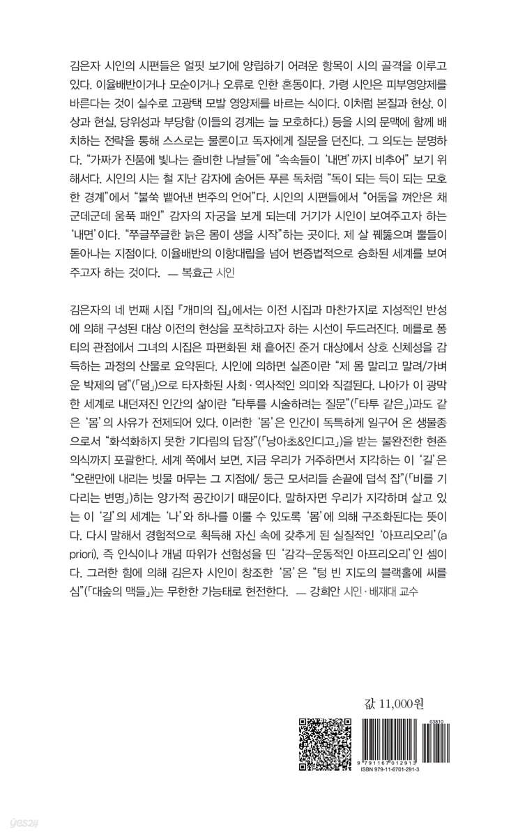 개미의 집 - 예스24