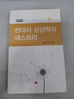 현대시 상상력의 에스프리/평론집