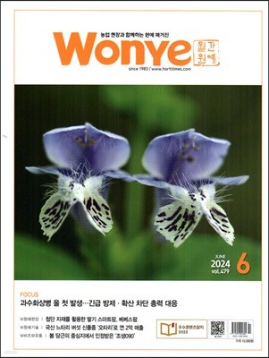  Wonye () : 6 [2024]