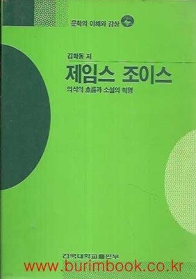 문학의 이해와 감상 제임스 조이스 의식의 흐름과 소설의 혁명