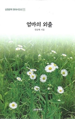 암마의 외출 : 천상례 시집