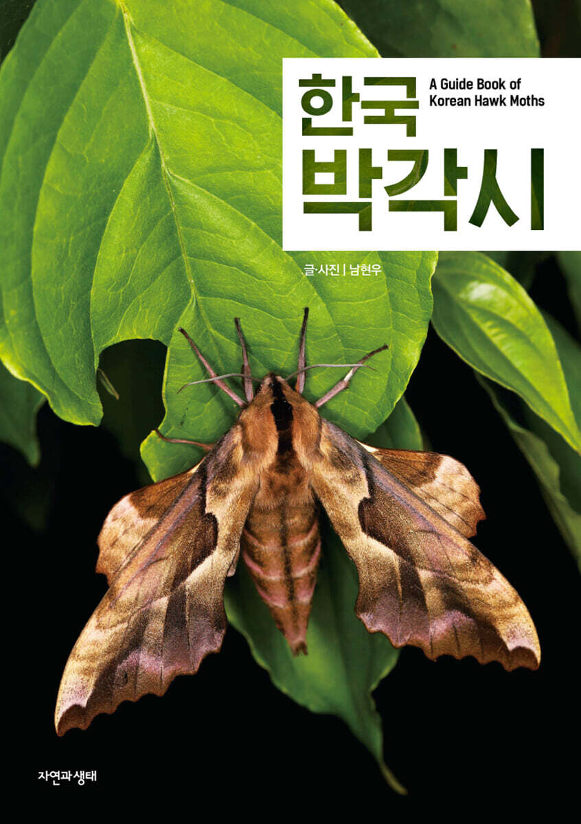 한국 박각시
