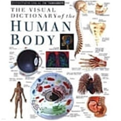 Eyewitness Visual Dictionaries: The Visual Dictionary of the Human Body