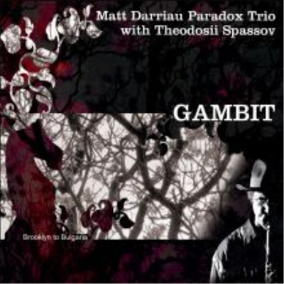 Matt Darriau / Paradox Trio - Gambit (CD)