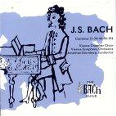  : ĭŸŸ 21, 56, 34, 46, 104 (Bach : Cantatas, Vol. 1) (2CD) - Jonathan Sternberg