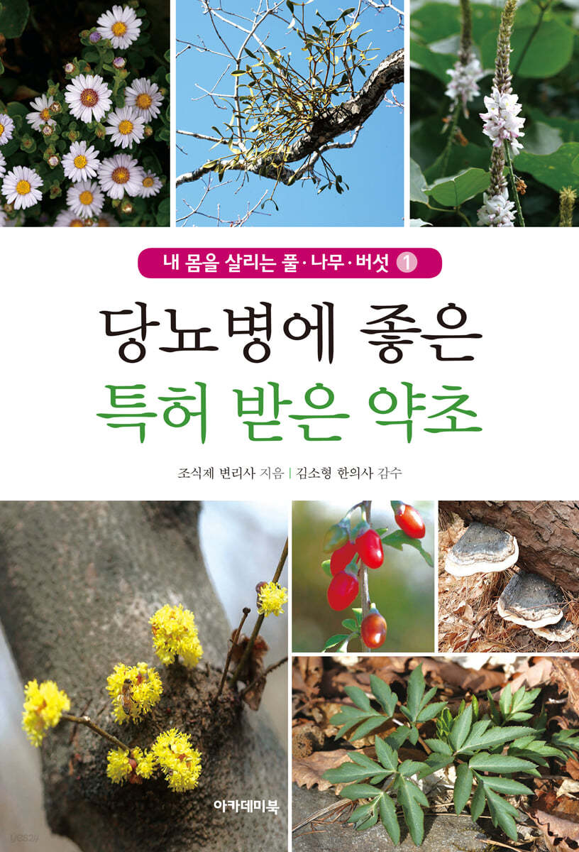 당뇨병에 좋은 특허 받은 우리 약초