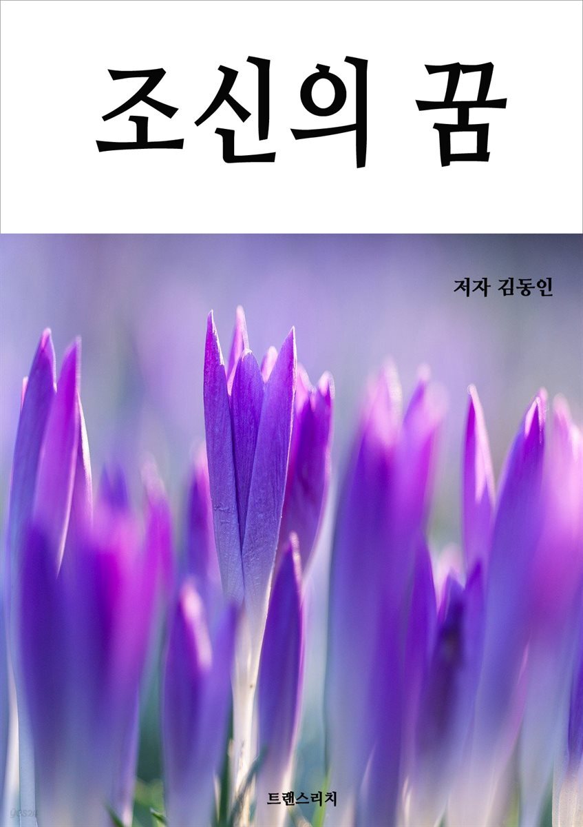 조신의 꿈