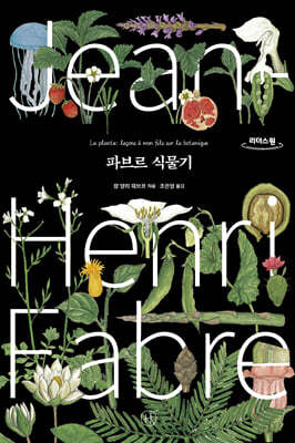 파브르 식물기 (큰글자도서)