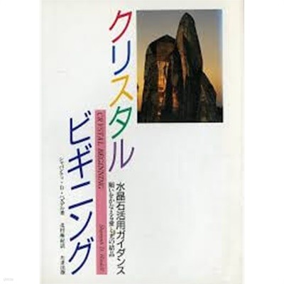 クリスタル?ビギニング Crystal Beginning 1991 (일본도서)