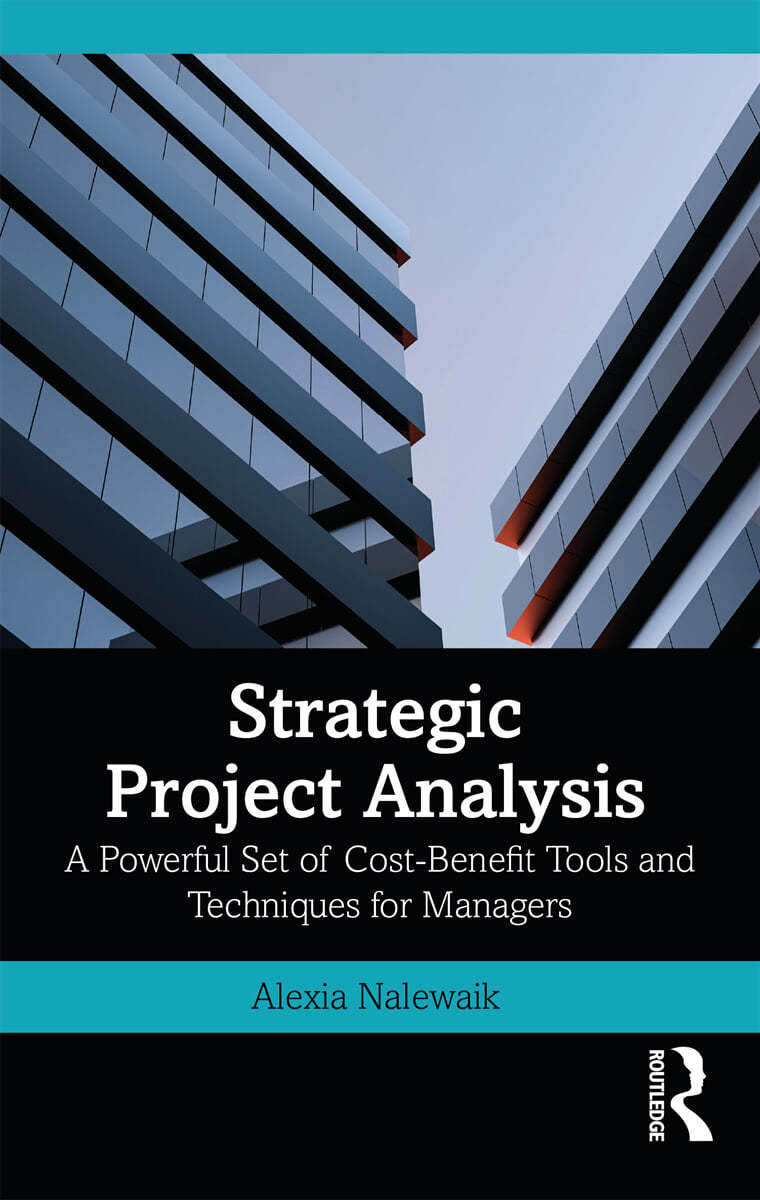 Strategic Project Analysis