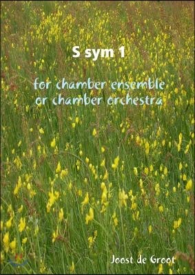 S sym 1 for chamber ensemble or chamber orchestra