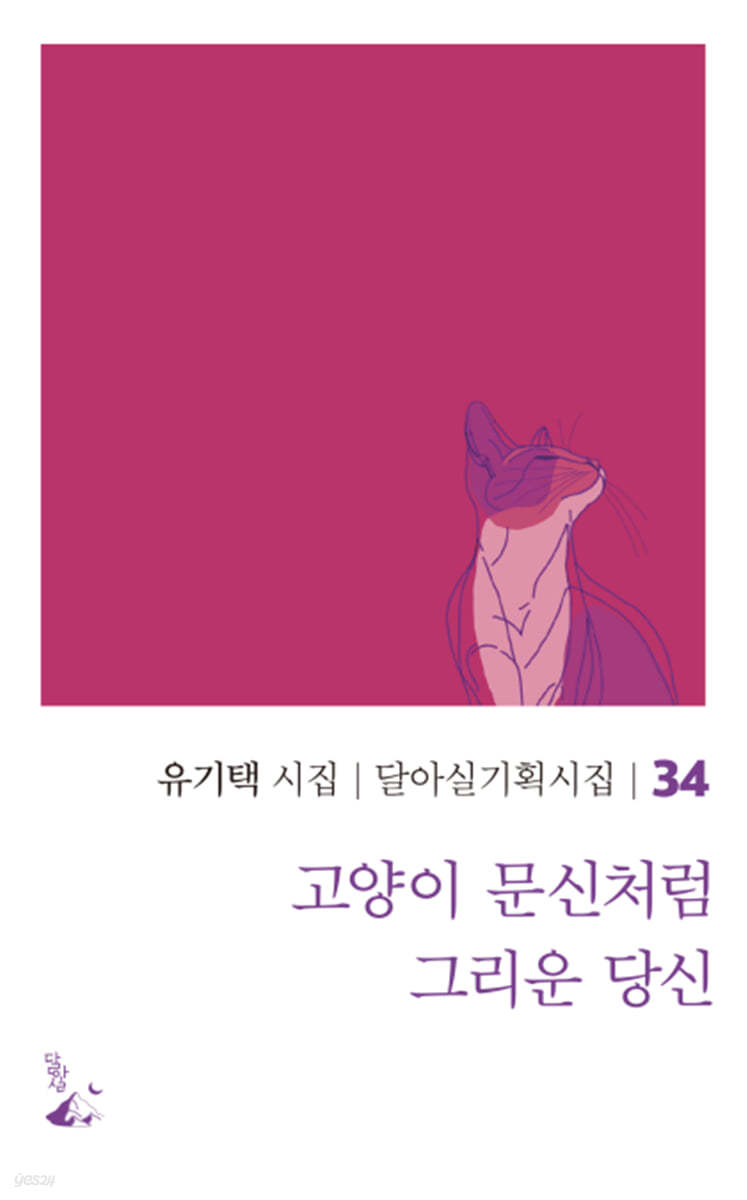 고양이 문신처럼 그리운 당신